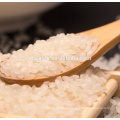 sushi grano de arroz blanco